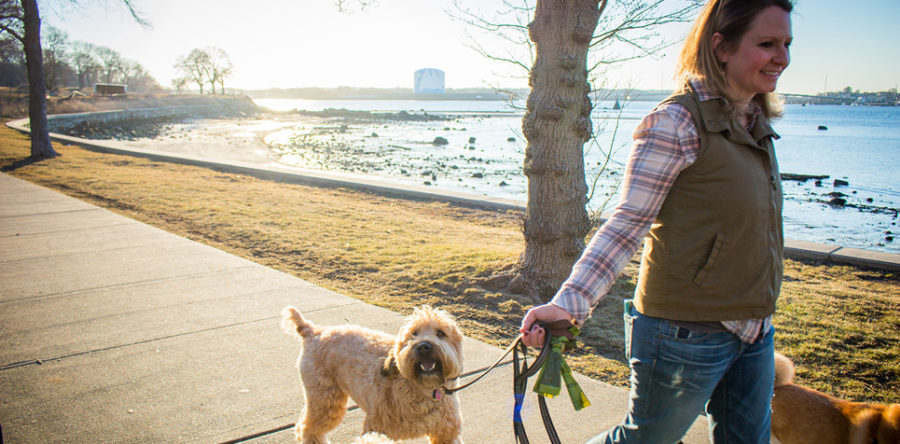Management on Leash