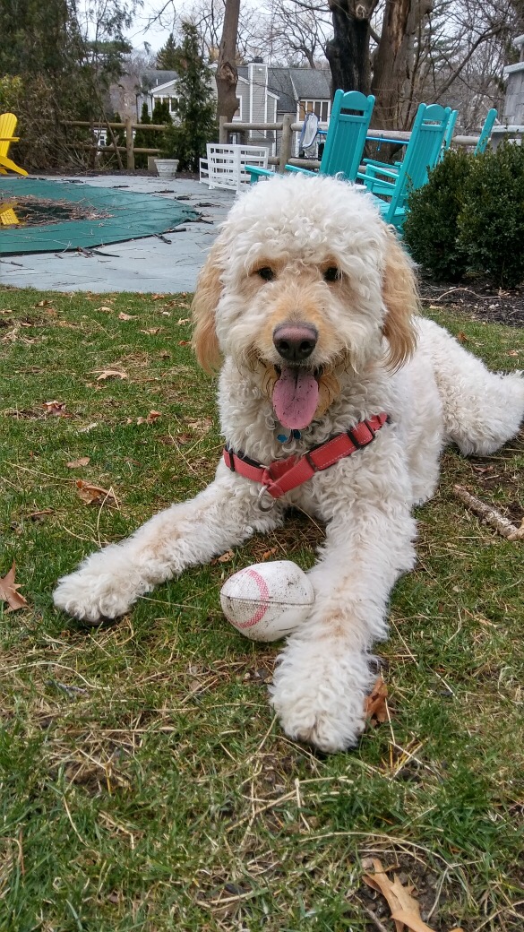 Successful Training Sessions